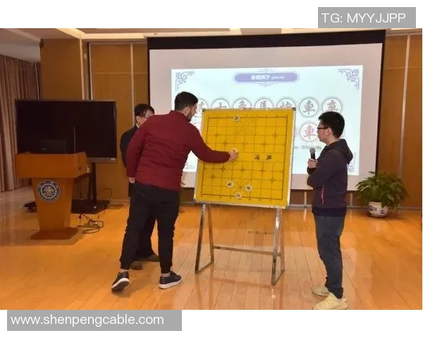 五星体育节目表全面解析精彩赛事安排与观看指南