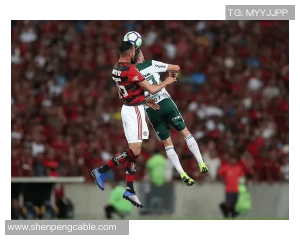 亚松森呱啦与老虎竞技的激烈对决揭示足球战术与团队精神的较量